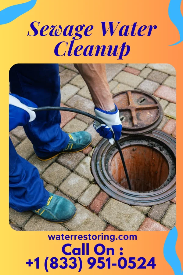 Sewage Water Cleanup in Nunda, SD